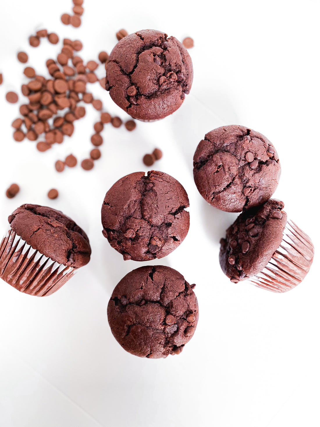 Double Chocolate Muffins